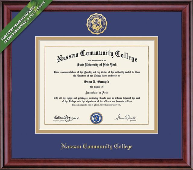 Framing Success Classic 8 x 10 Diploma with Double mat- ONLINE ONLY