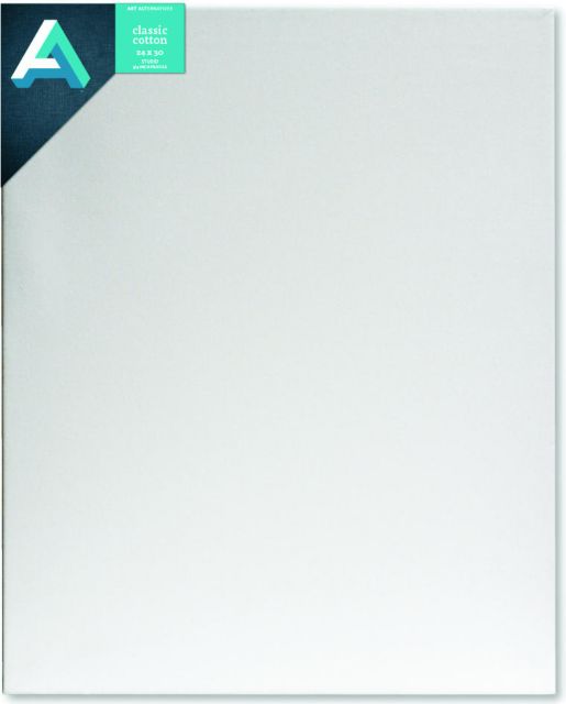 CANVAS STUDIO 24X30