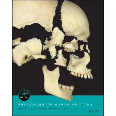 Principles of Human Anatomy