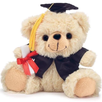 PLSH MINI BEAR BLK CAP N GWN