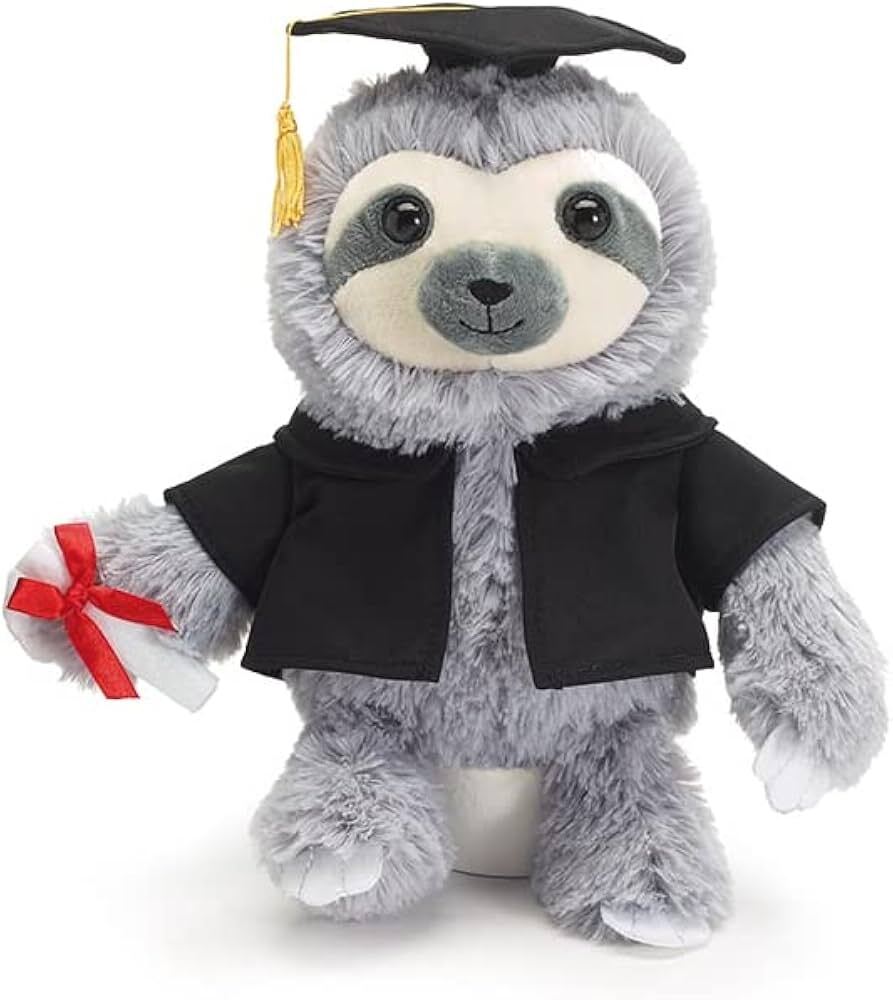 PLUS GRAD SLOTH